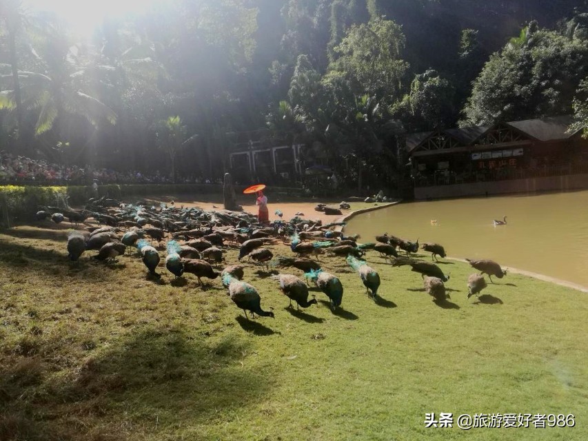 昆明大理腾冲版纳七日自驾游,腾冲到西双版纳自驾