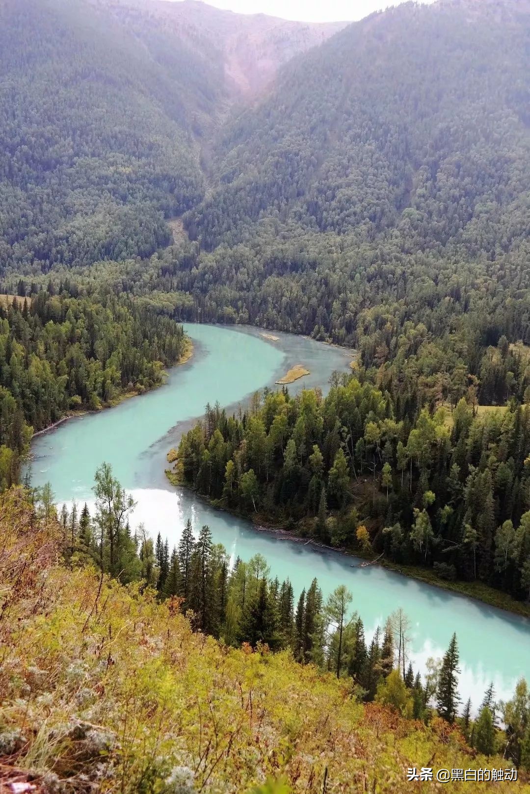 都说新疆好去新疆发展可靠么,都说新疆好地方