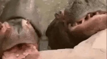 为什么加油站要24小时上班,为什么加油站一个工资1800