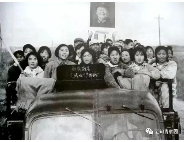 呼玛县上海知青名单,塔克拉玛干沙漠上海女知青