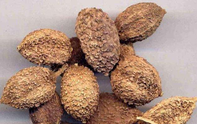 祛湿气，从“改4习”、“5达标”开始，湿气永远不再上门！