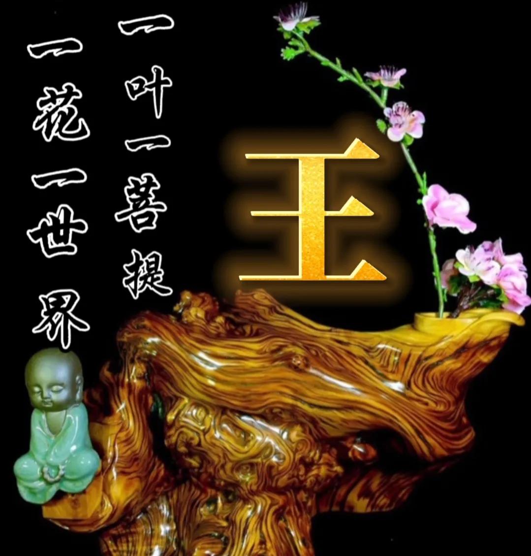 一花一世界一叶一菩提头像,一叶一菩提禅意微信头像