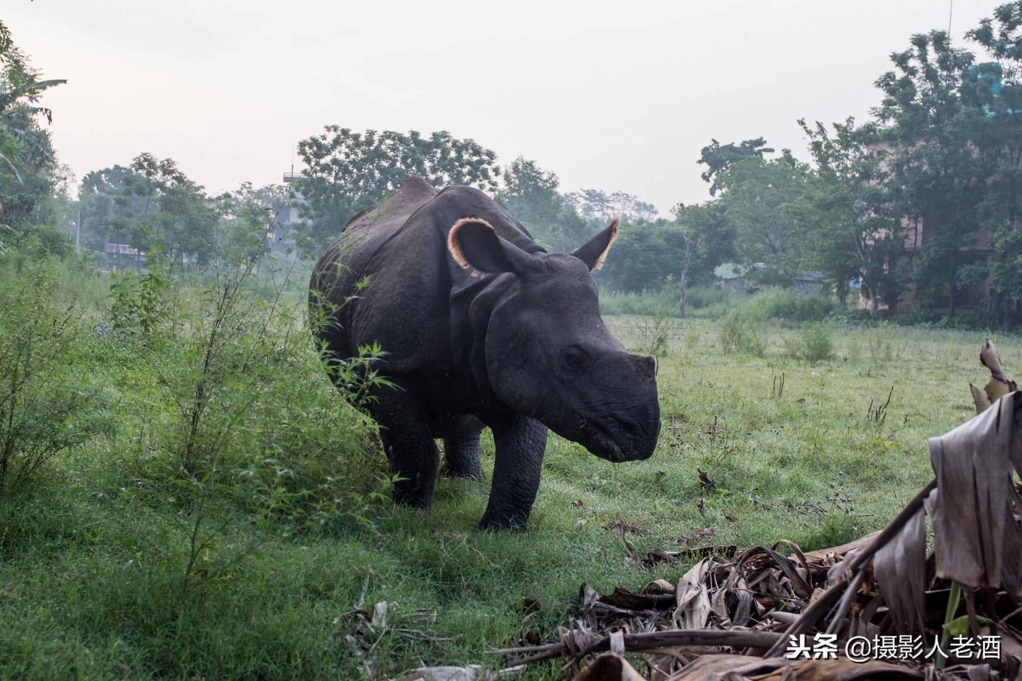 尼泊尔旅行攻略大全视频播放,尼泊尔全攻略