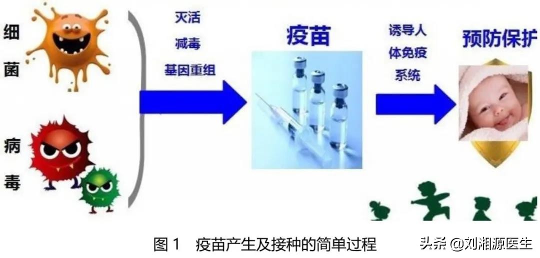 免疫预防接种科普视频,免疫治疗不良妊娠的方法