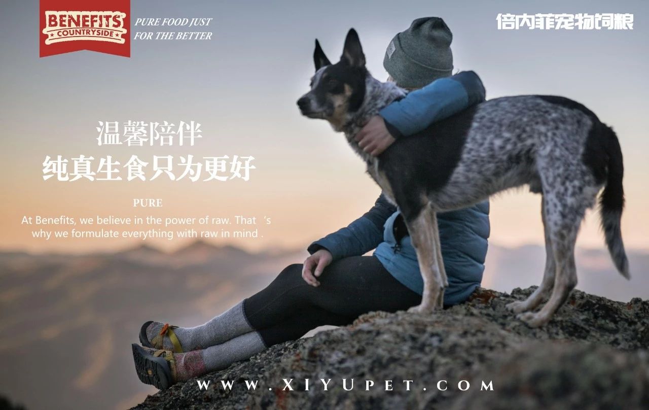 狗狗绿便不用怕,一文告诉你所有成因!