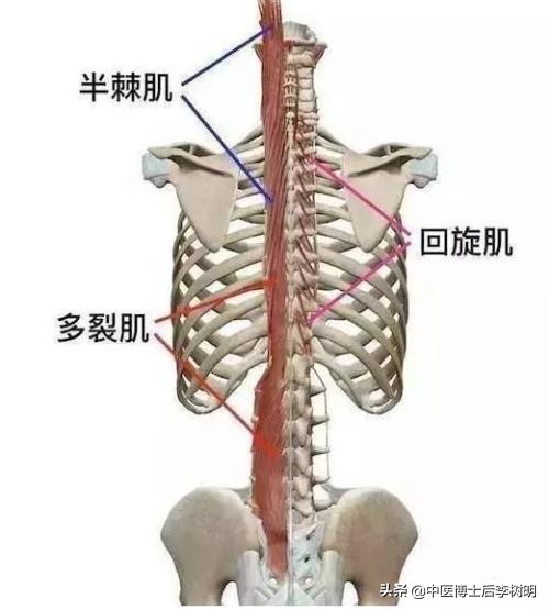 中医认为腰痛是什么原因,中医腰痛怎么治