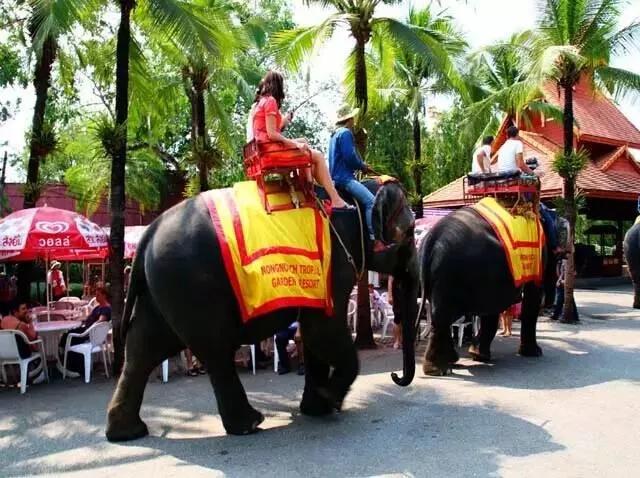 外地人眼里的云南人是怎样的,外地人眼里的云南人动画