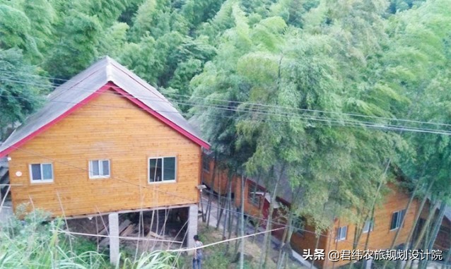 江西仙姑坛景区,2024年铜鼓仙姑坛杜鹃花开了吗