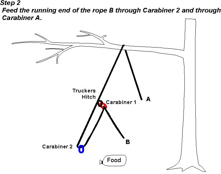 在野外遇到熊该怎么自救,户外遇见熊视频