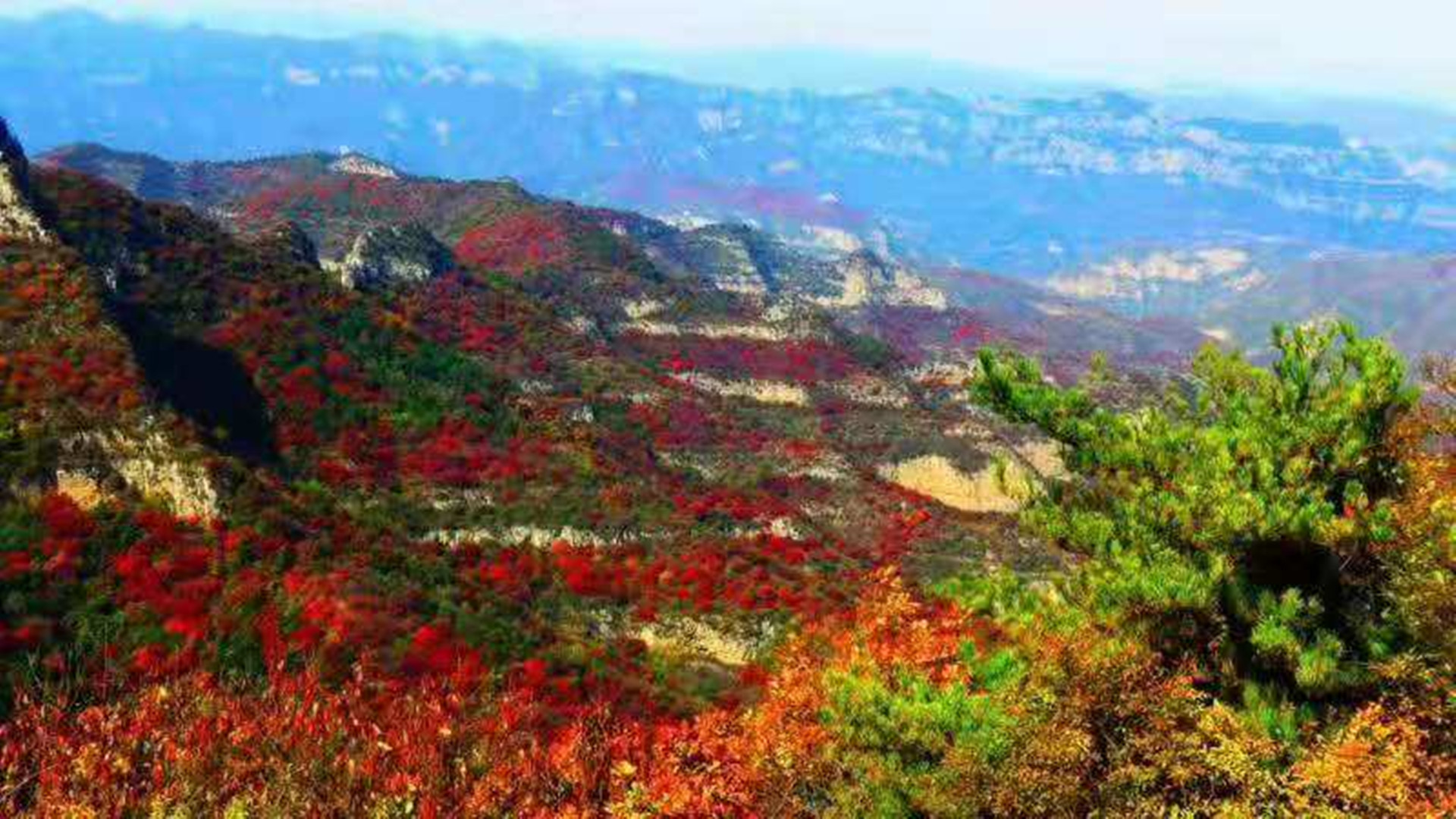 你家乡的俗语有哪些,你家乡方言都有什么俗语