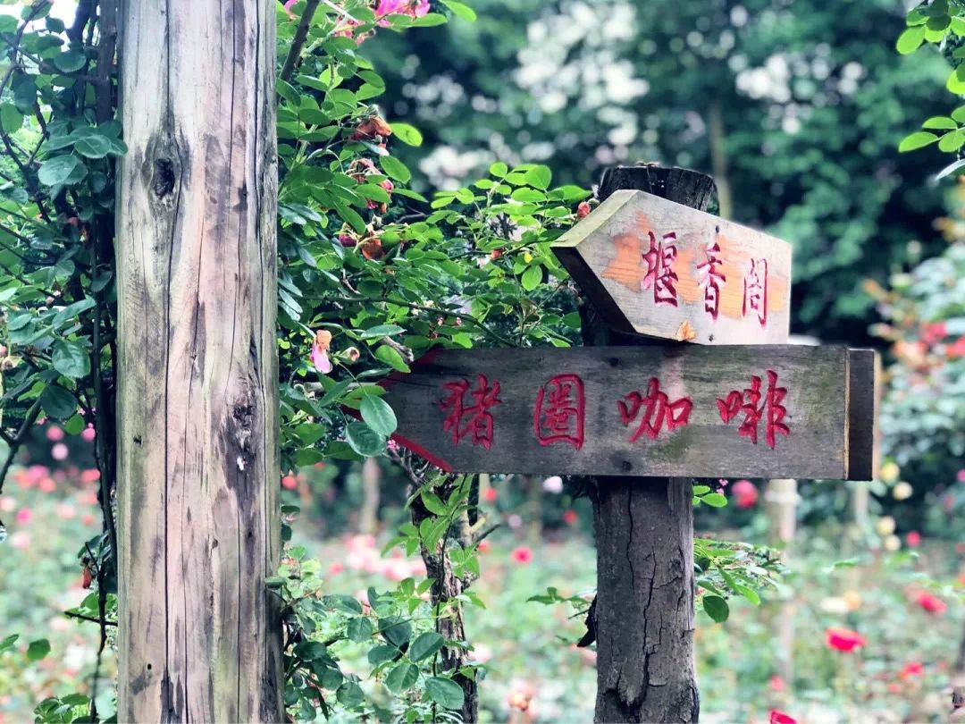 假期倒计时!推荐这条适合全家的乡村游线路