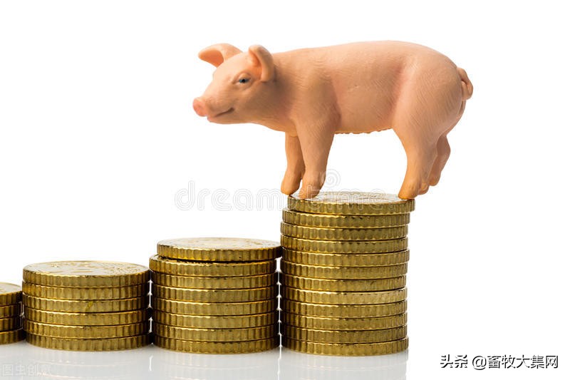 生猪出栏减少,高管大换血,中报巨亏,大卖资产,天邦今年有点难