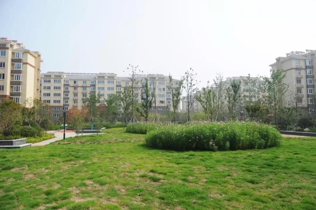 院落鸟语花香,环境优雅漂亮的小院