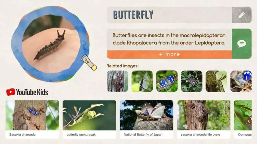 2020德国if设计大奖获奖作品,2020德国if设计金奖公布