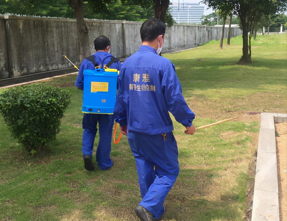 危害最大的入侵物种红火蚁,红火蚁是如何入侵我国的