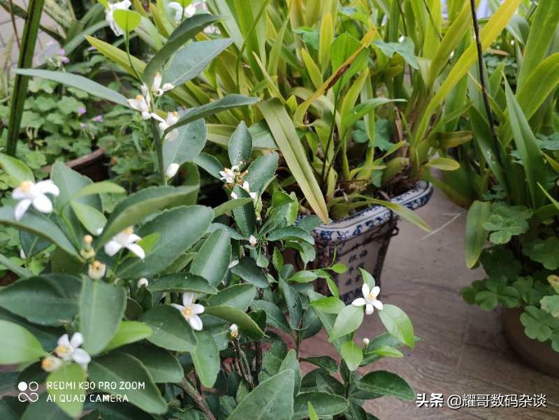 redmik30pro详细测评,redmik30pro深度测评