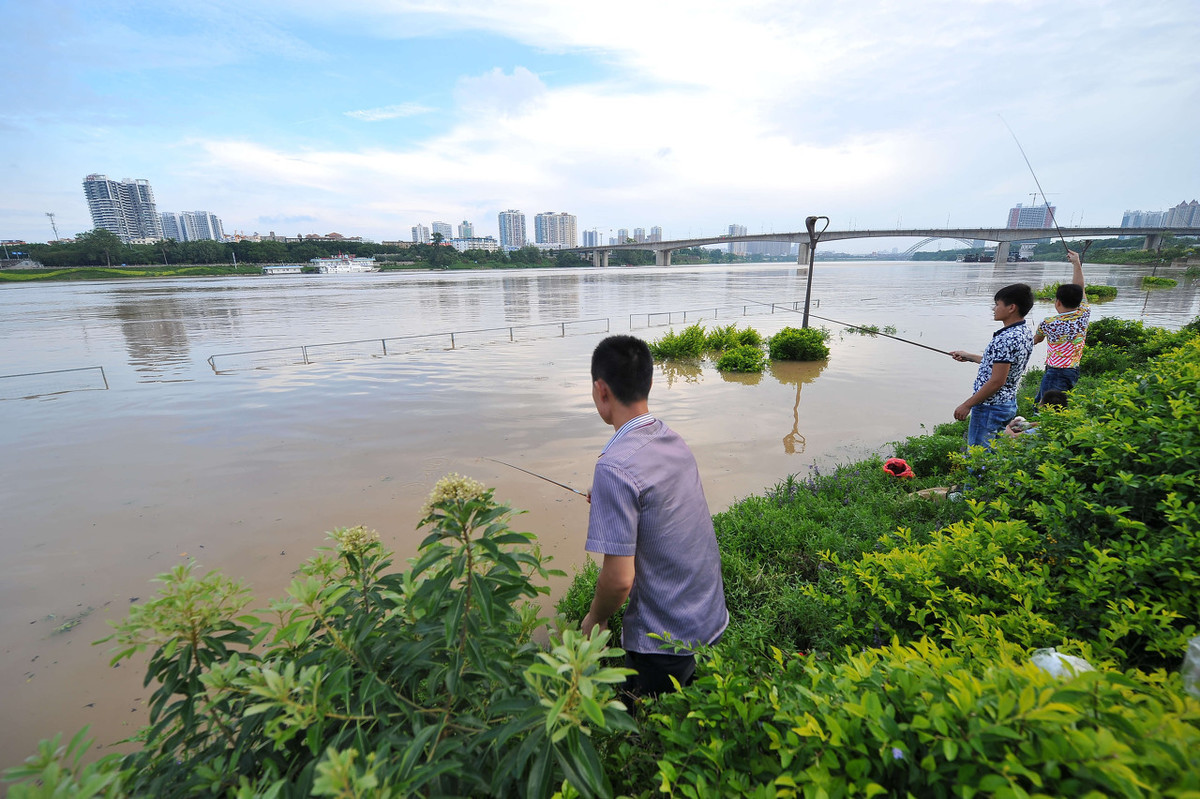 麝香水诱鱼效果怎么样,麝香诱鱼剂如何做