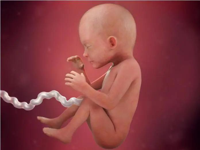 40岁胡杏儿孕照,胡杏儿7个月孕肚大片