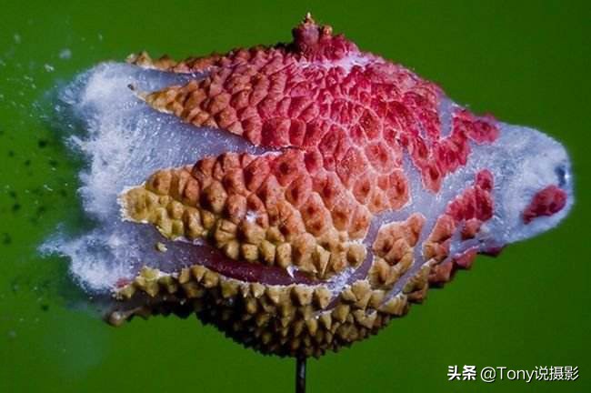 详解快门速度,领略不同曝光时间带来的魅力