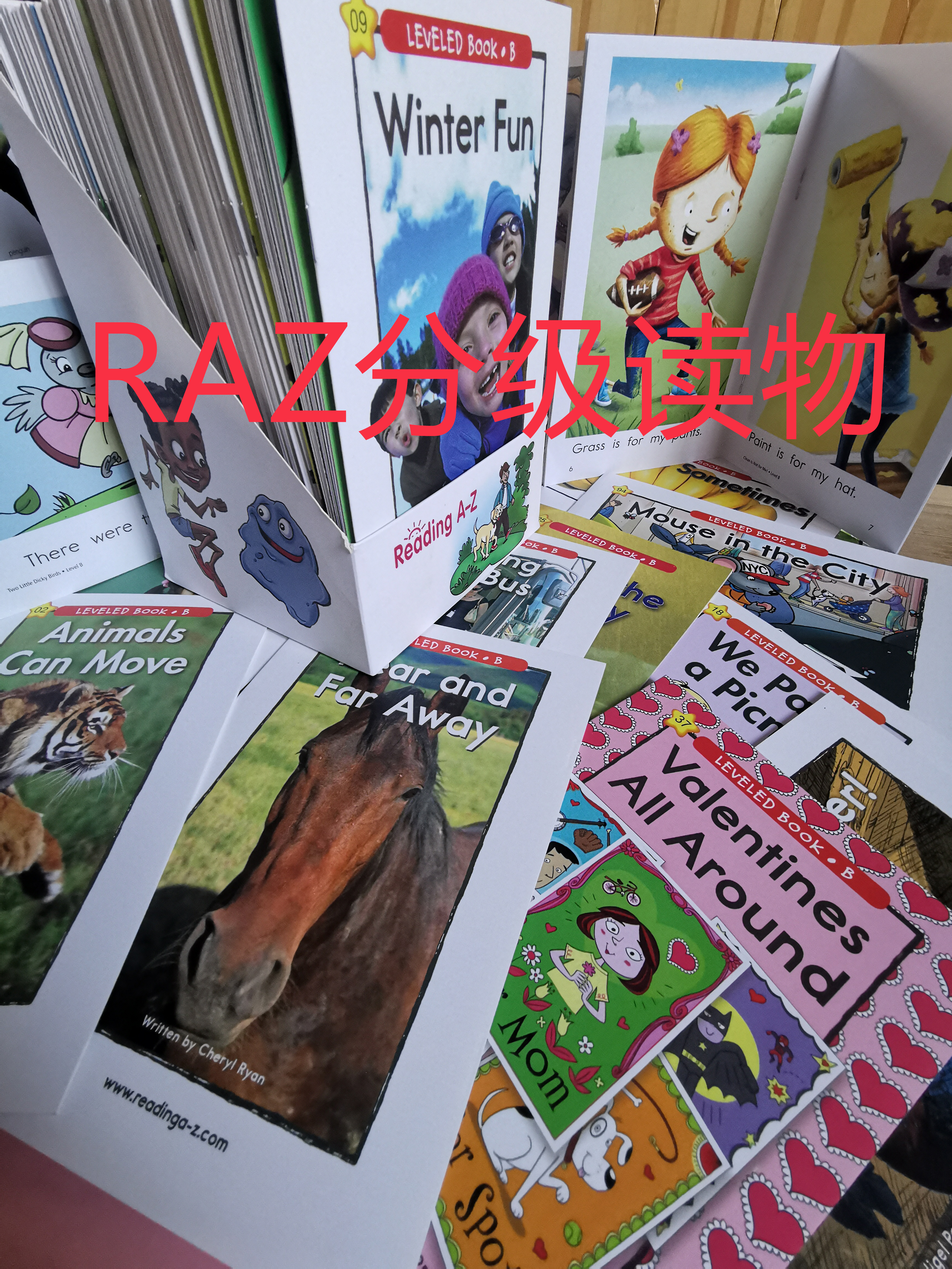 最终也给心宝入手了RAZ