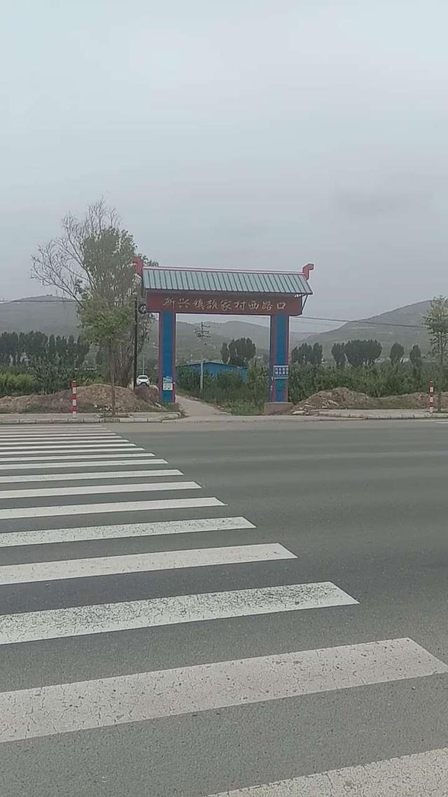 甘谷金山农民作家张志刚,甘谷徒步张志刚