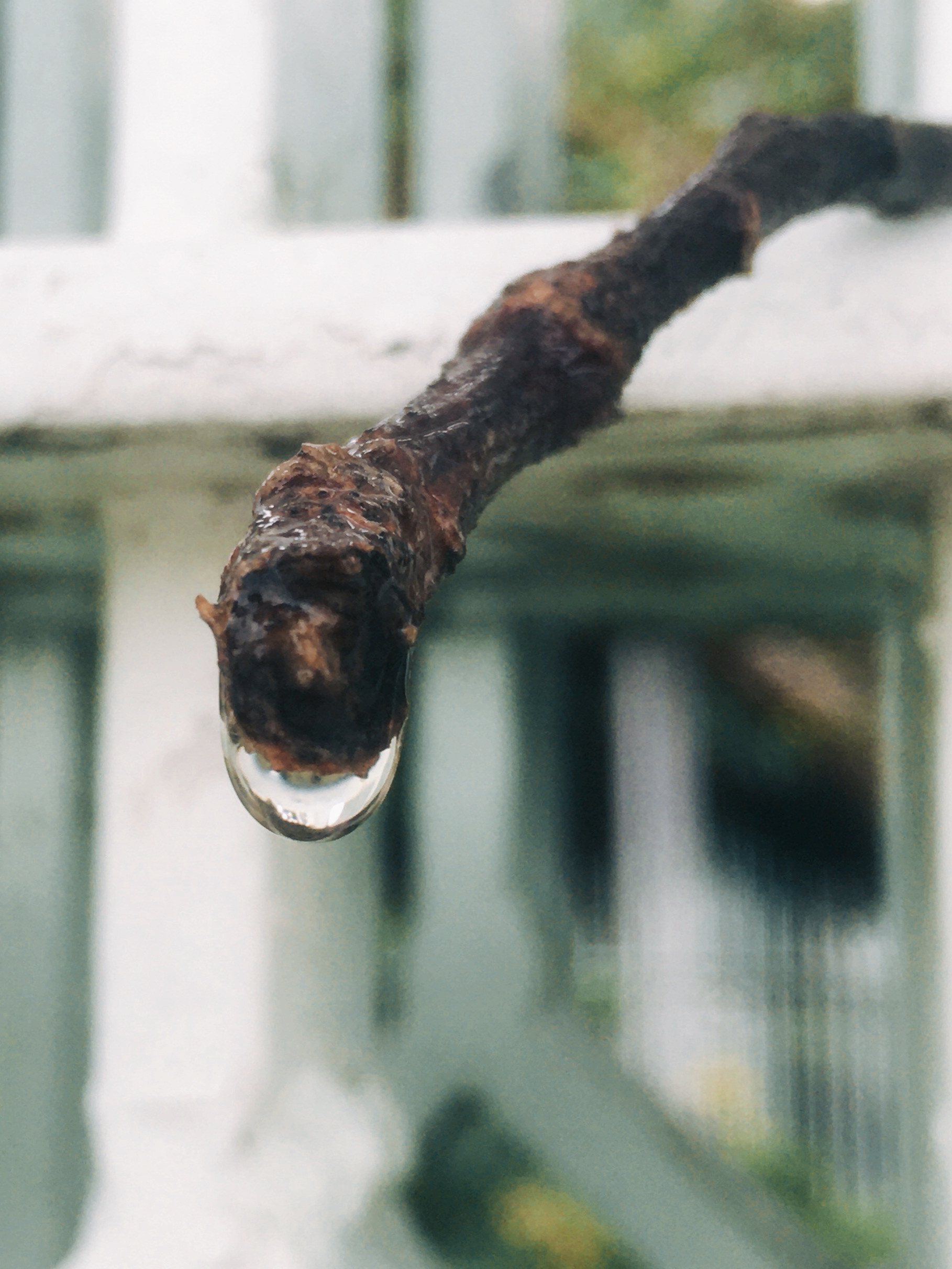夏日的下雨天最适合游泳,夏日的午后突然下雨