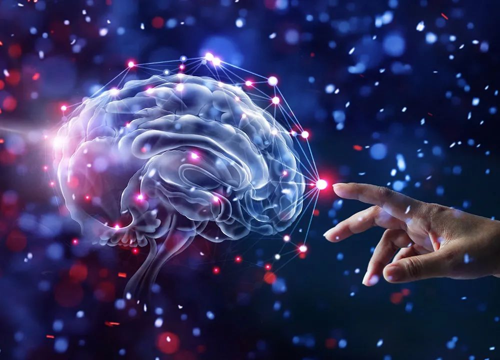 酒精主要影响大脑的哪个部分,酒精对大脑造成的第一个反应