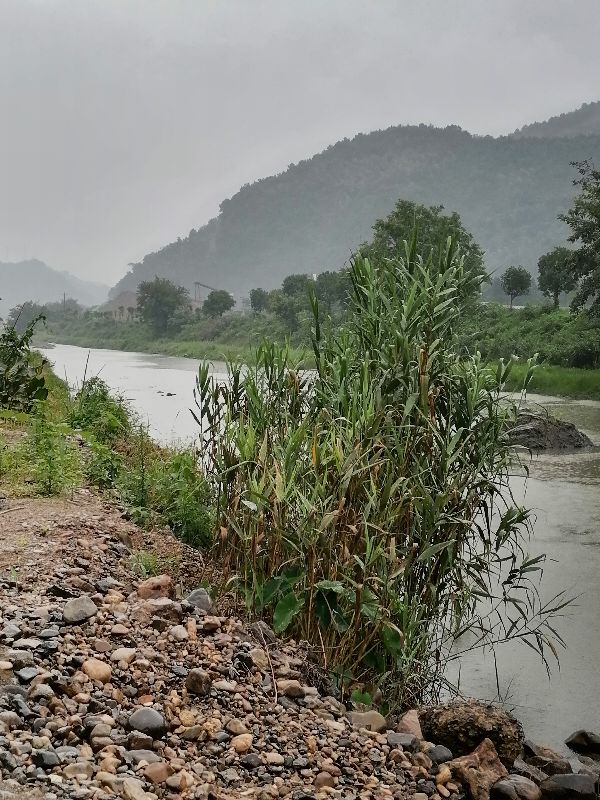 发痧的症状用去医院吗,发痧的症状肌肉酸痛