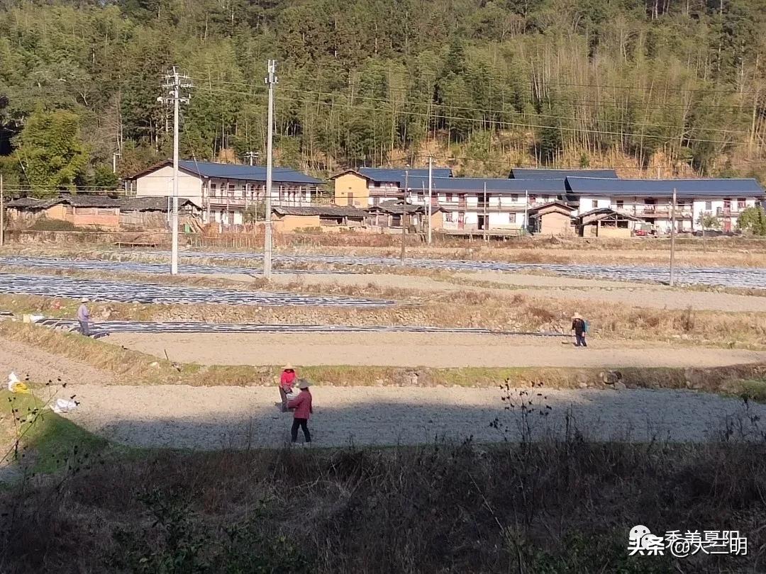 灾后城房重建工作情况汇报,乡政府灾后重建情况汇报