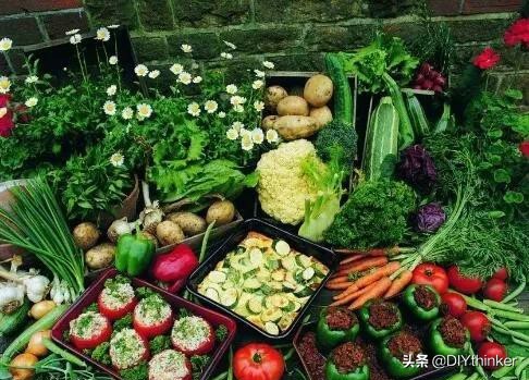 农村最赚钱的四大项目,农村冷门好项目有哪些呢