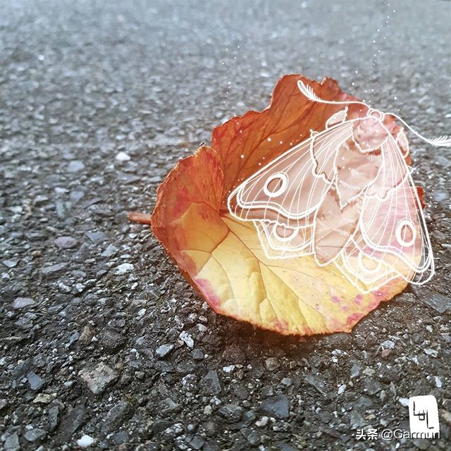 艺术|LulAlilalou看到的神奇世界