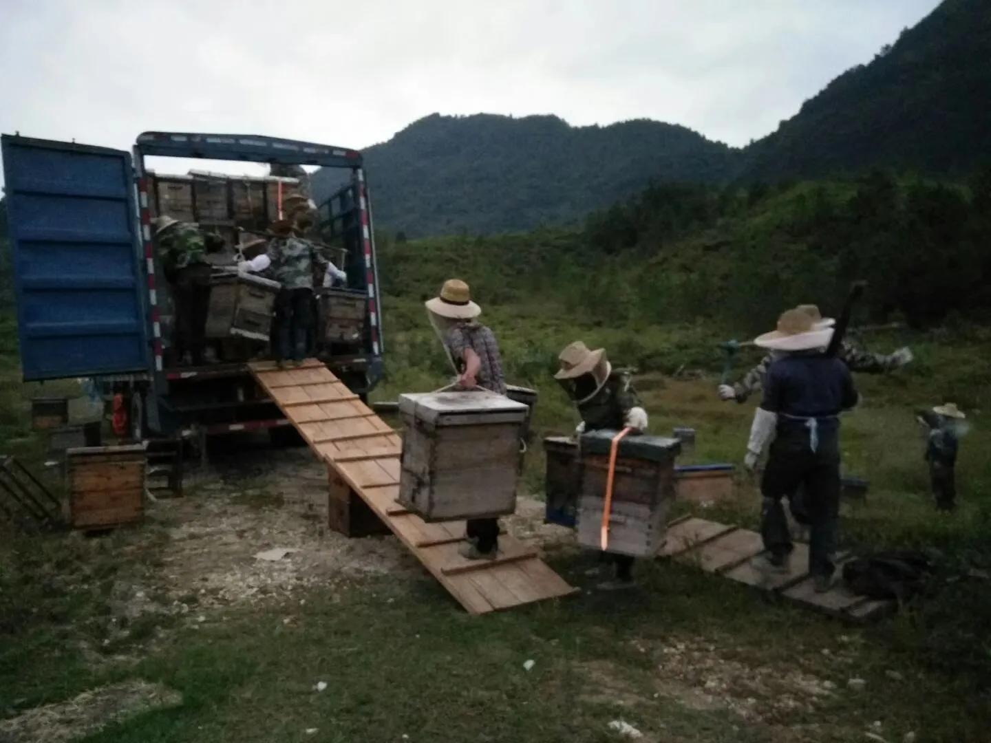 结晶蜂蜜品牌质量排名,捷氏结晶蜂蜜质量怎么样