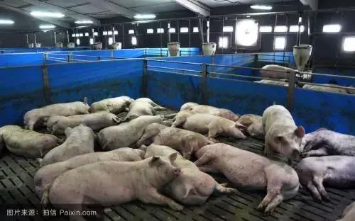 养殖场被强制拆除合法吗,养殖场在禁养区拆迁时有没有补偿