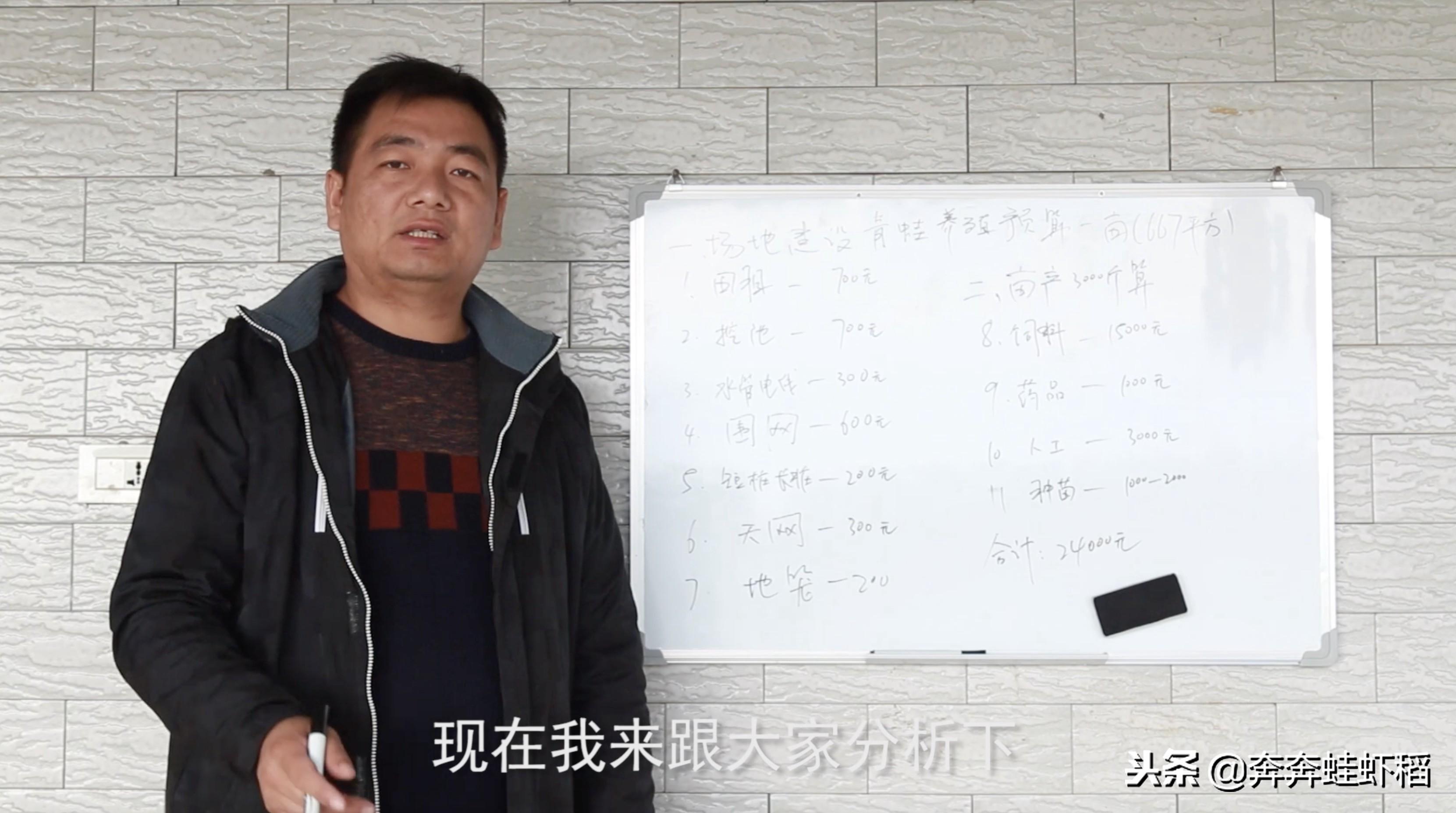 农村养青蛙,养得好一亩能赚2-3万,一亩田要投入多少?