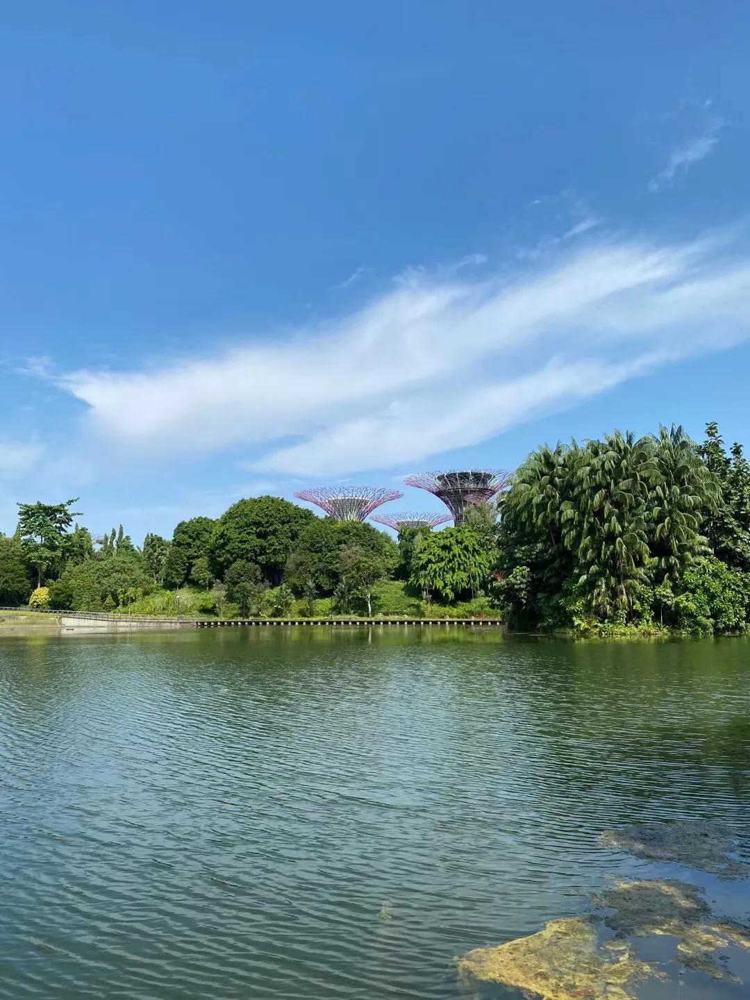 新加坡滨海湾花园温室,新加坡金沙滨海湾花园图片