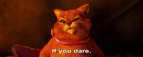 细胞饥饿疗法,细胞饥饿对细胞周期的影响