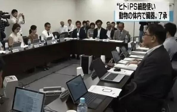 日本真实的胚胎实验,日本研究人畜胚胎新闻