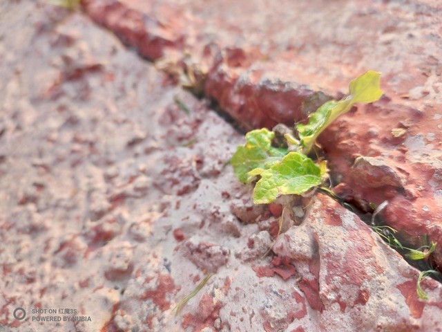 游戏液冷散热,打游戏用风扇还是用散热器好一点
