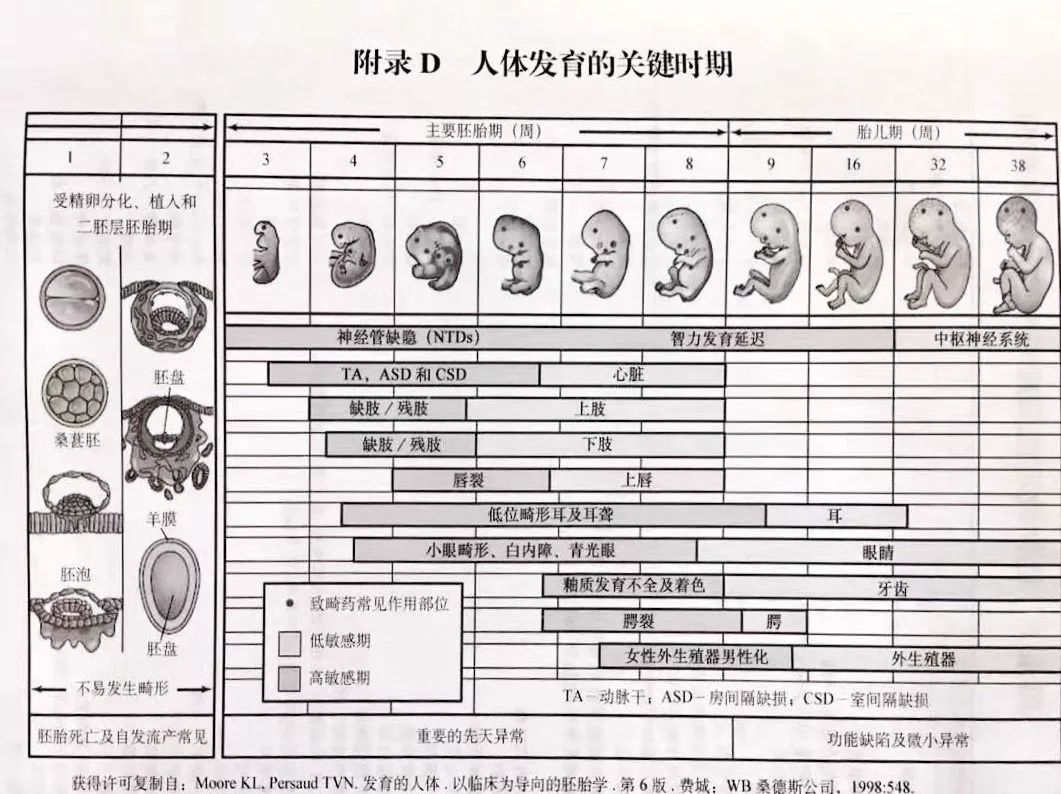 孕妇退烧药必须38.5度才能吃吗,孕妇能吃哪种退烧药比较安全