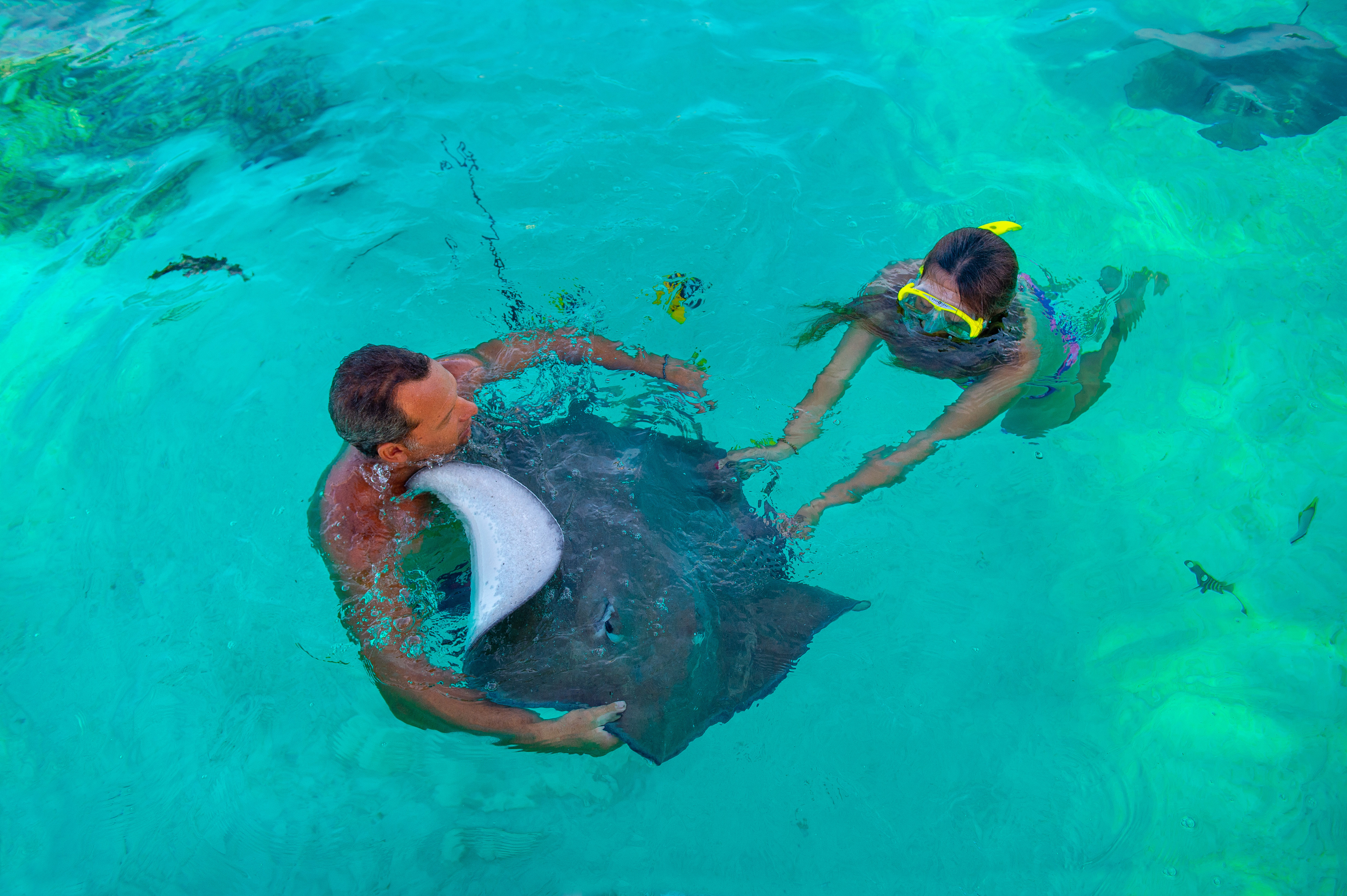 世界有名的海岛旅游胜地,世界10大最奇特海岛