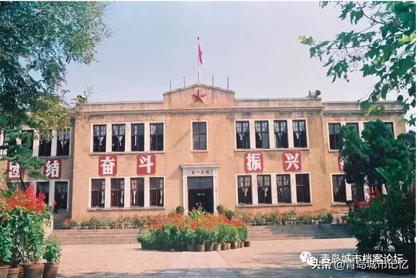 我的母校青岛铁中简介,我的母校简介