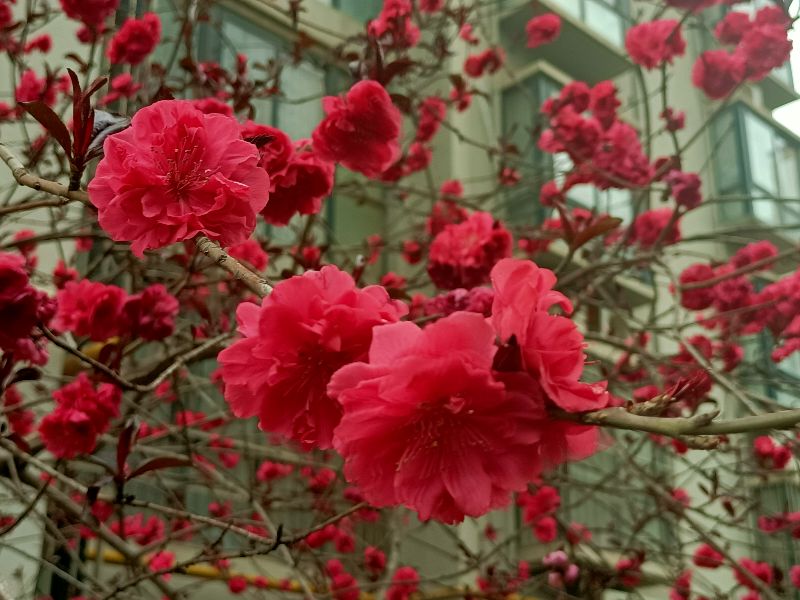 岳父怕岳母,怕丈母娘怕老婆