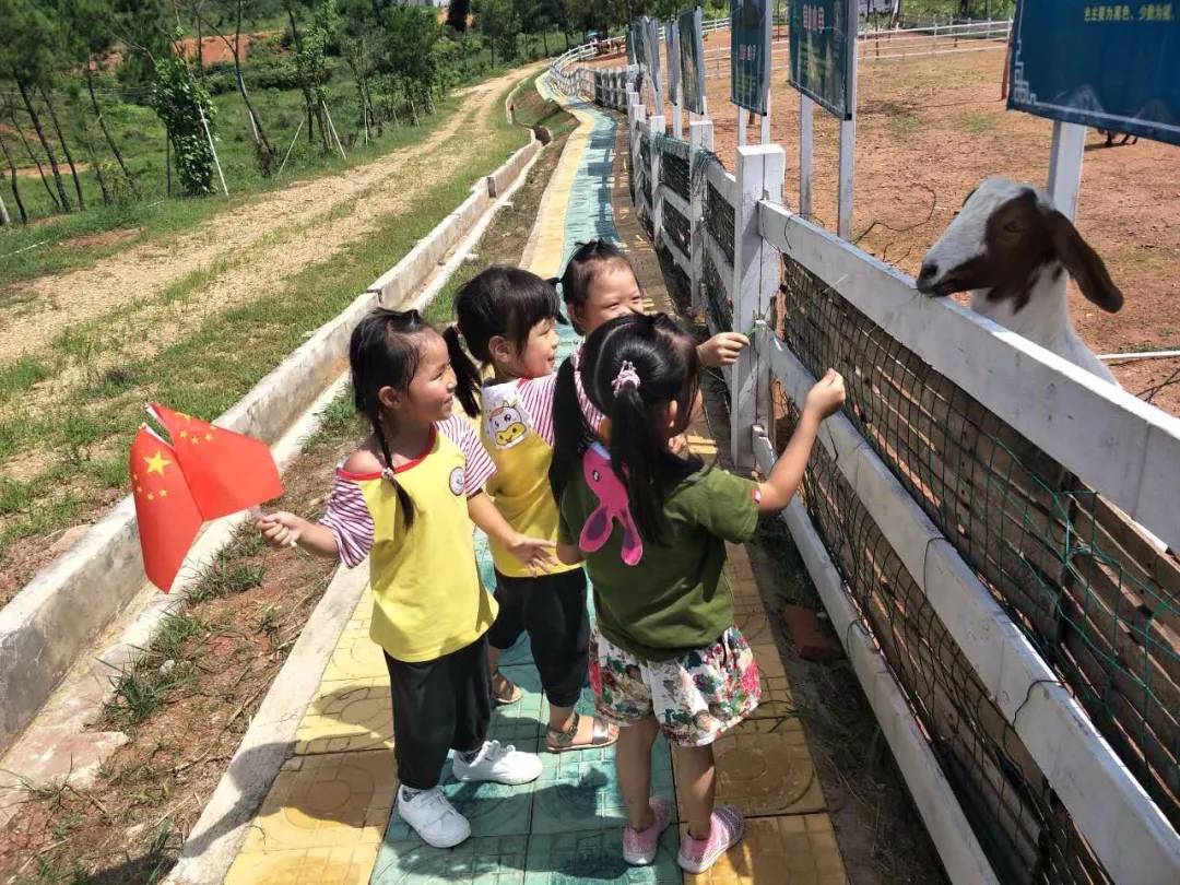 春日活动来袭秒杀团购等你来,韶关香草世界森林公园小木屋