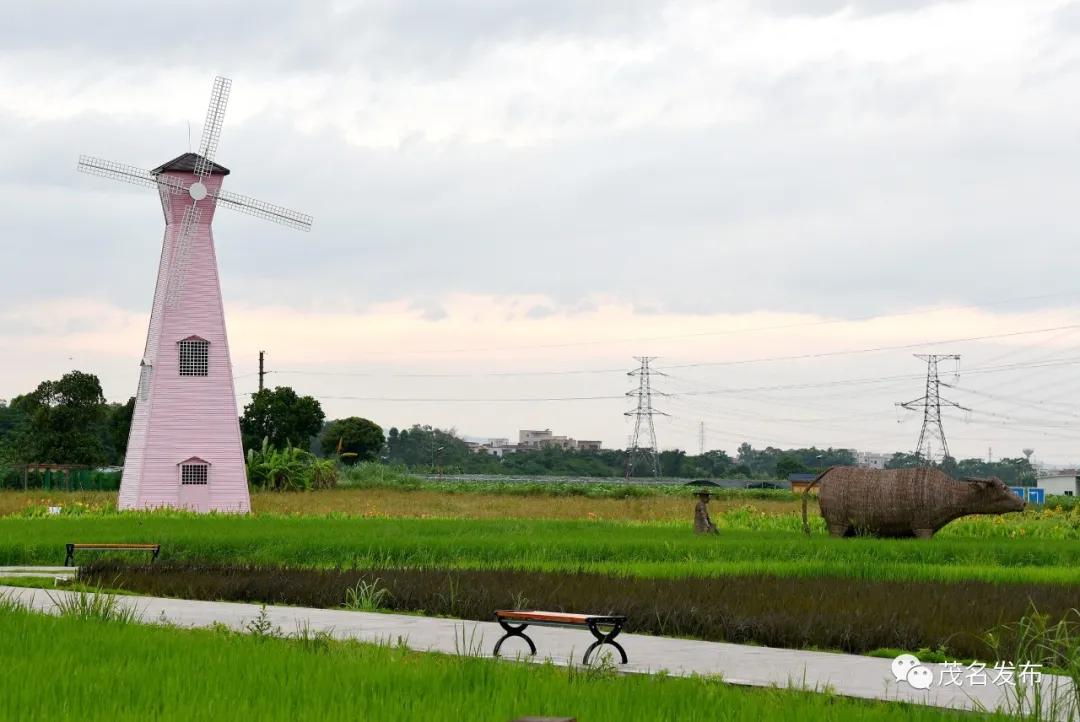 乡村振兴看辉煌,乡村振兴看东富