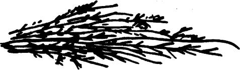 看火花识材料,看火花识别贵金属