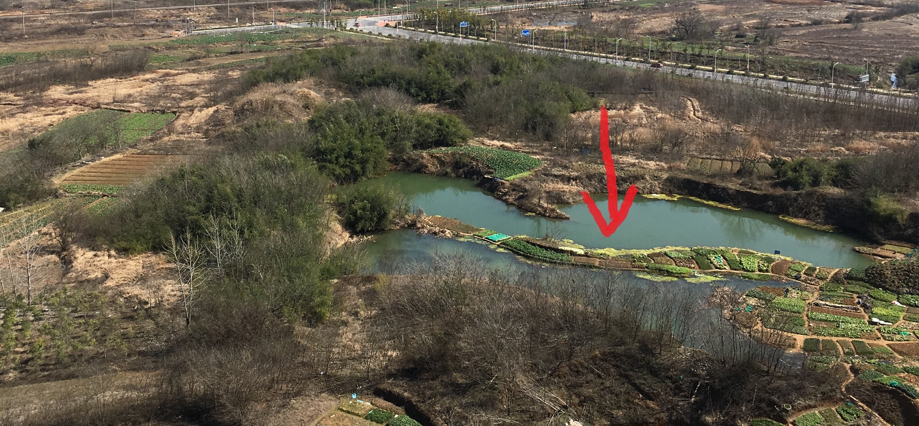 不吭不响就折我鱼竿，是倚老卖老的自信？还是你真的不会做人？