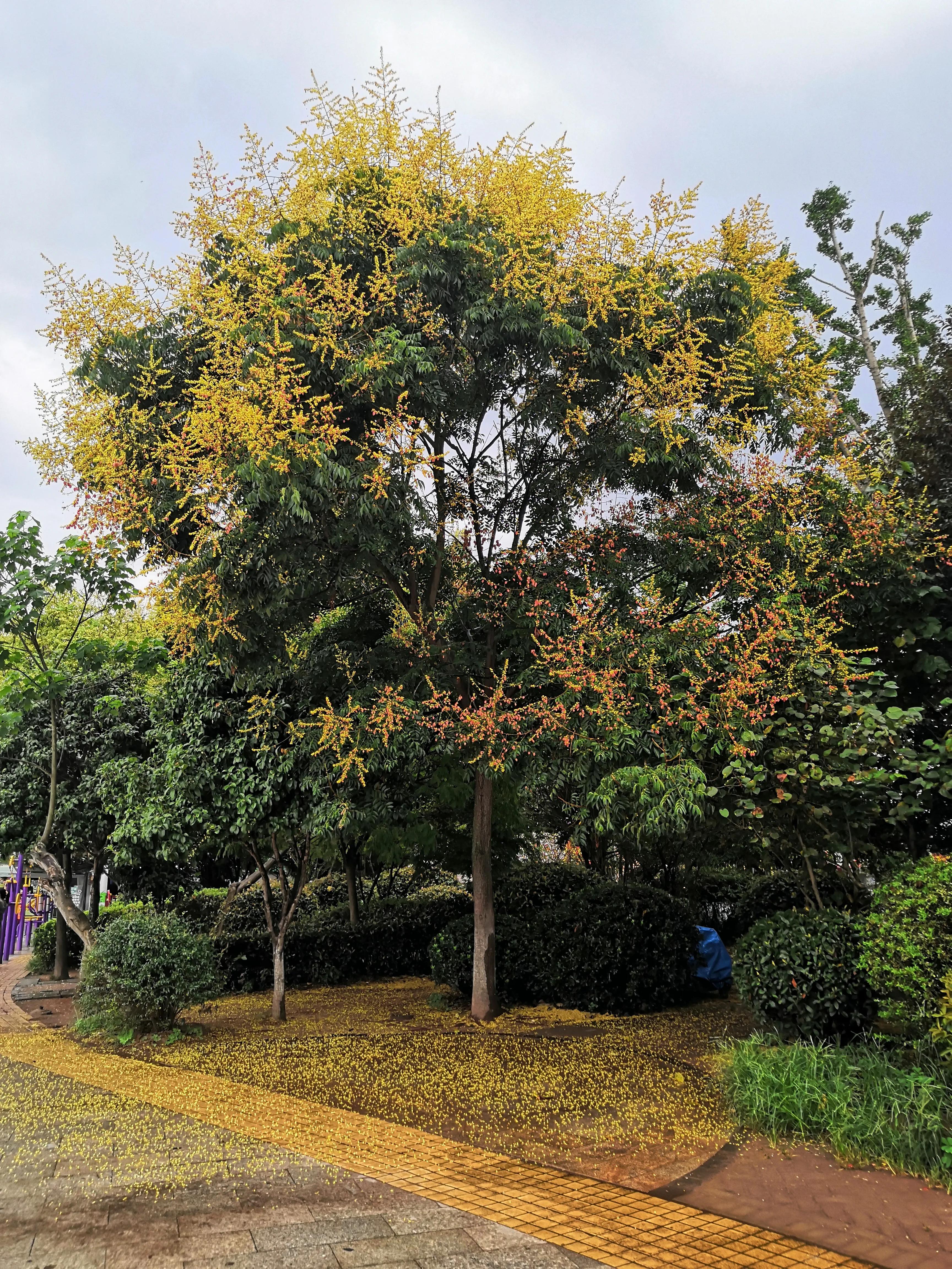 沅陵县城仅存的老巷子,沅陵宽窄小巷