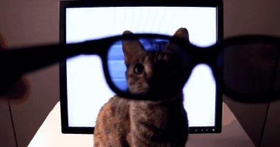 给电脑文件加密的几种方法,如何给自己的电脑文件加密