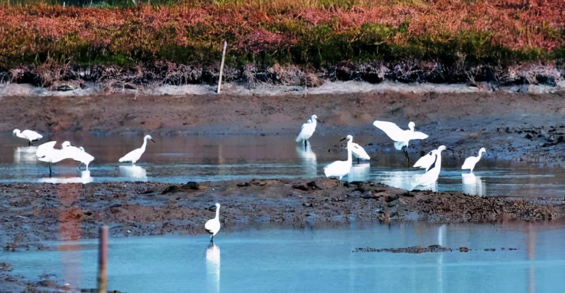 南有嘉鱼烝然汕汕的意思,汕头冷门旅游景点推荐