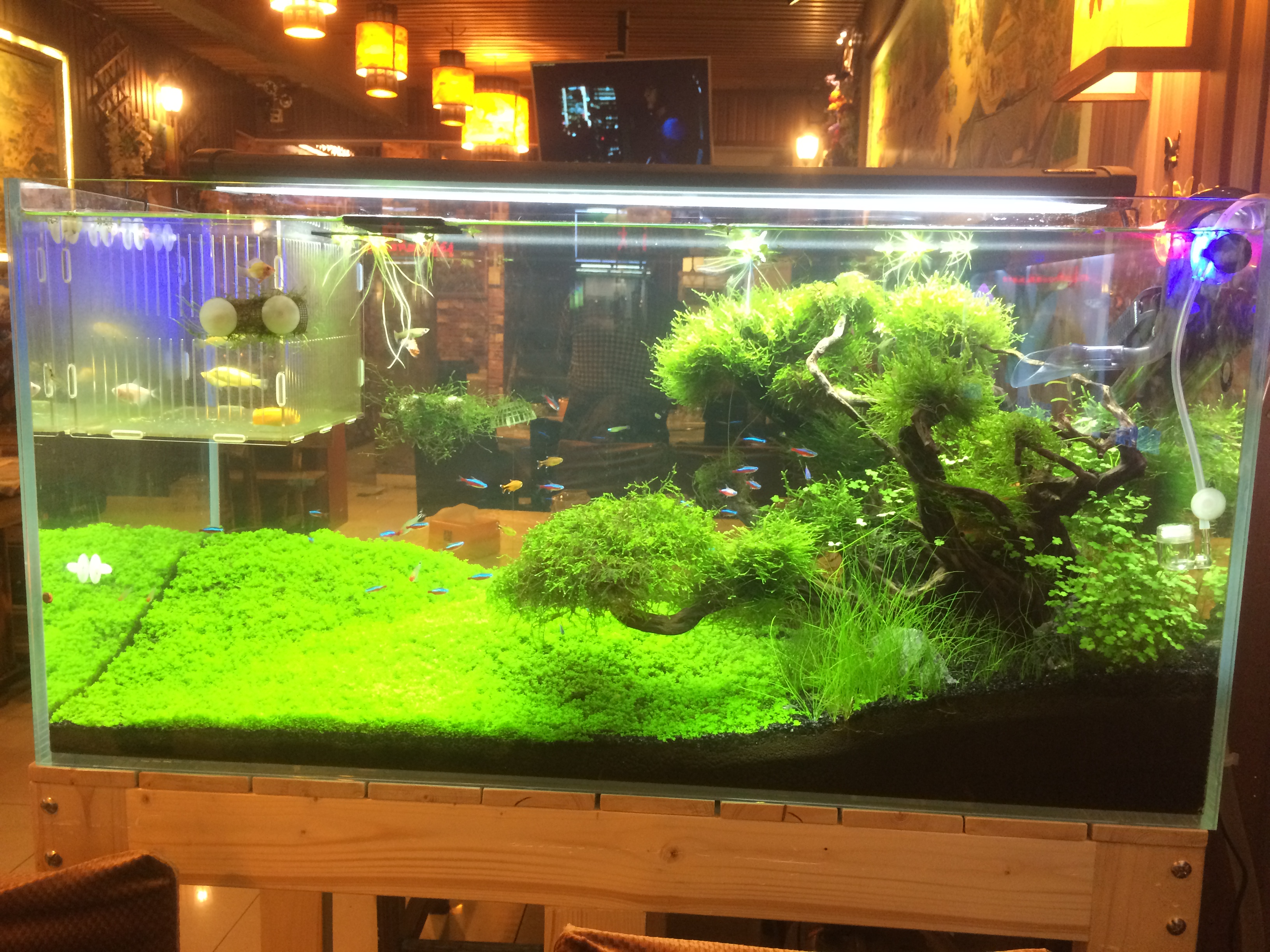 上门清洗大鱼缸多少钱,上门清洗净水器赚钱吗